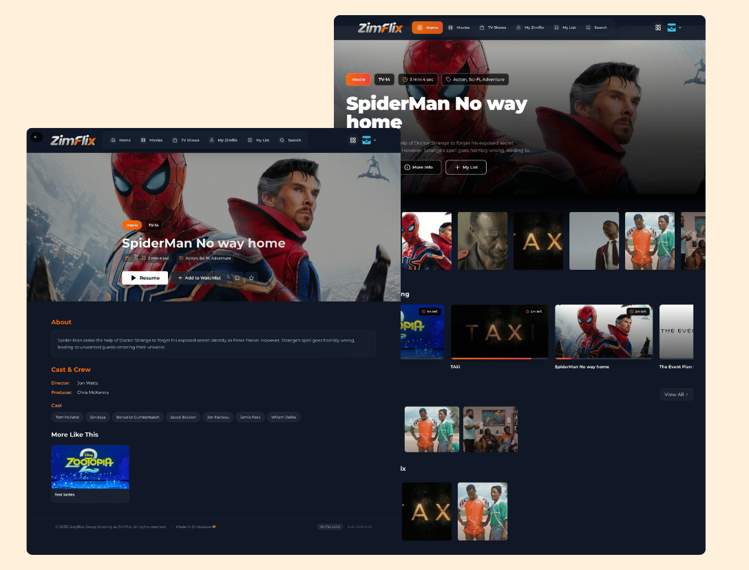 ZimFlix - Zimbabwe's Premier Streaming Platform